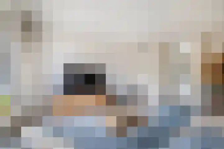 Graanakker 41 Waddinxveen thumbnail 6