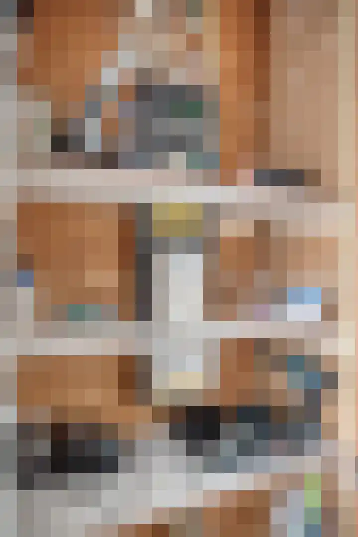 Graanakker 70 Waddinxveen thumbnail 10