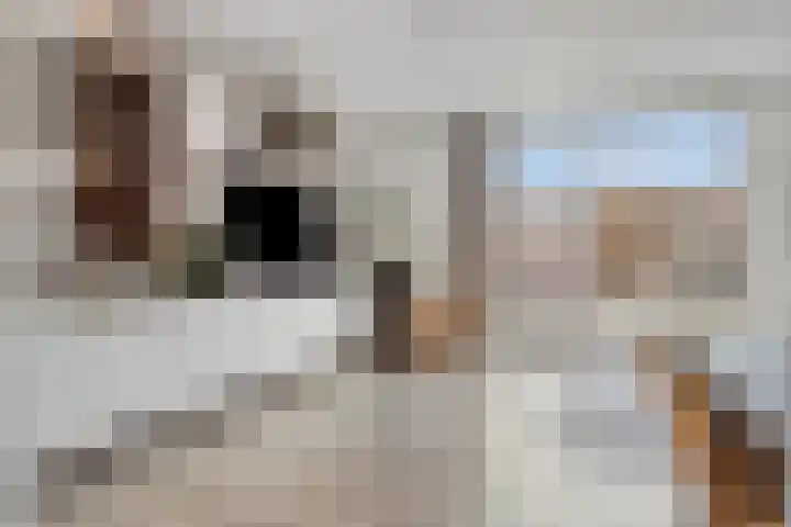 Graanakker 70 Waddinxveen thumbnail 12