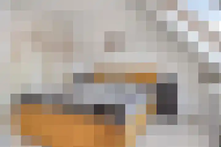 Graanakker 70 Waddinxveen thumbnail 28