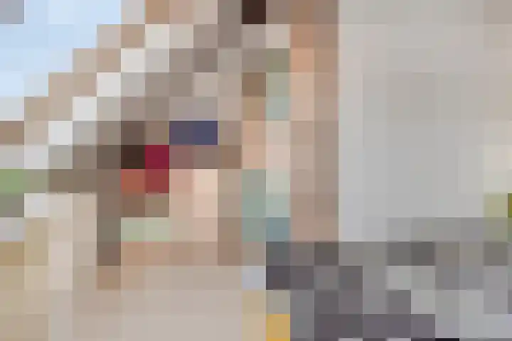 Graanakker 70 Waddinxveen thumbnail 29