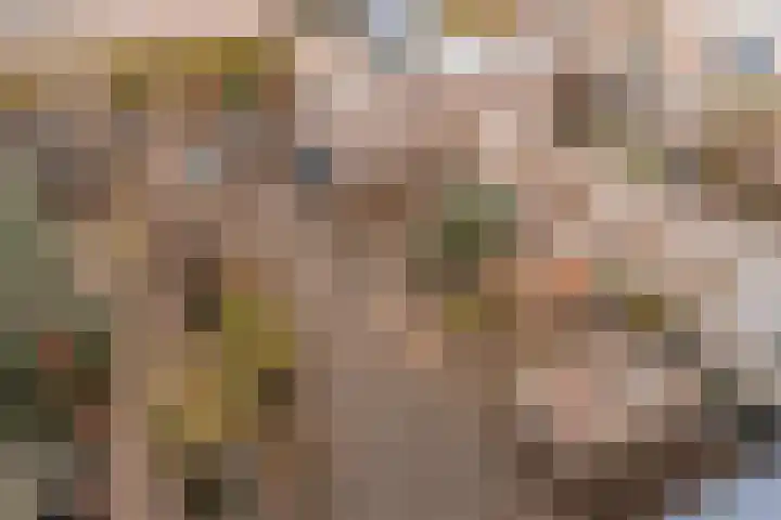 Graanhoeve 38 Houten thumbnail 24