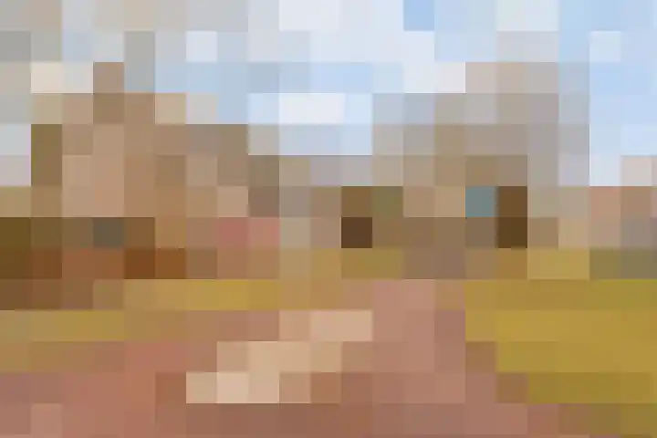 Graanhoeve 38 Houten thumbnail 31