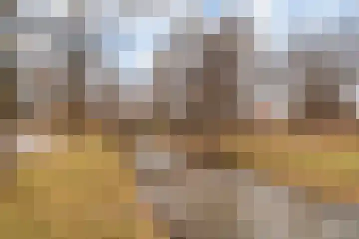 Graanhoeve 38 Houten thumbnail 33