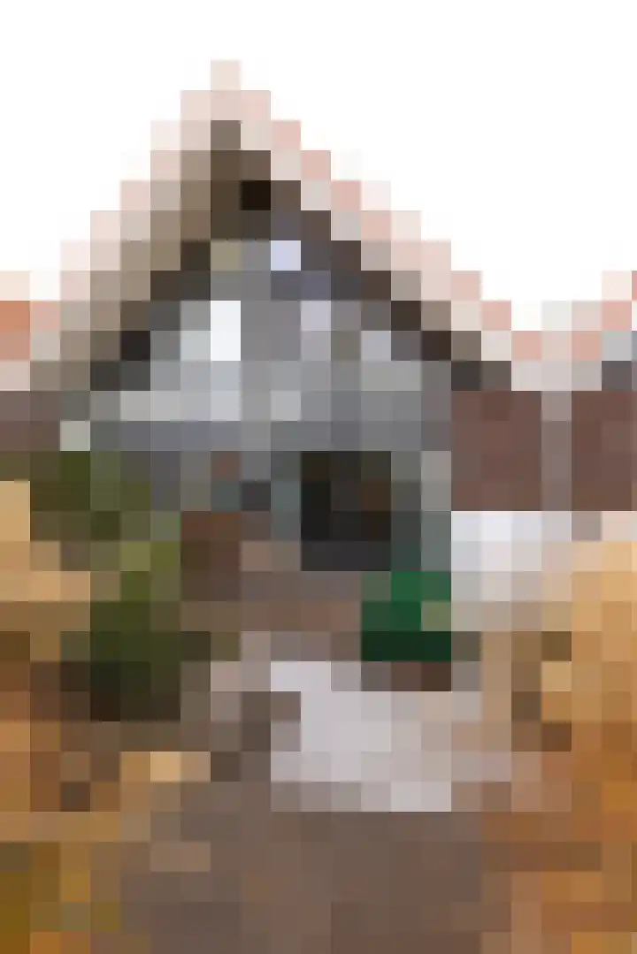 Graanhuis 29 Beinsdorp thumbnail 17