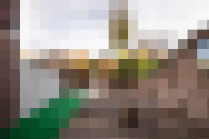 Graanhuis 29 Beinsdorp thumbnail 20