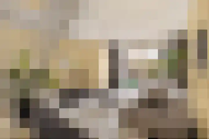 Graanhuis 29 Beinsdorp thumbnail 5