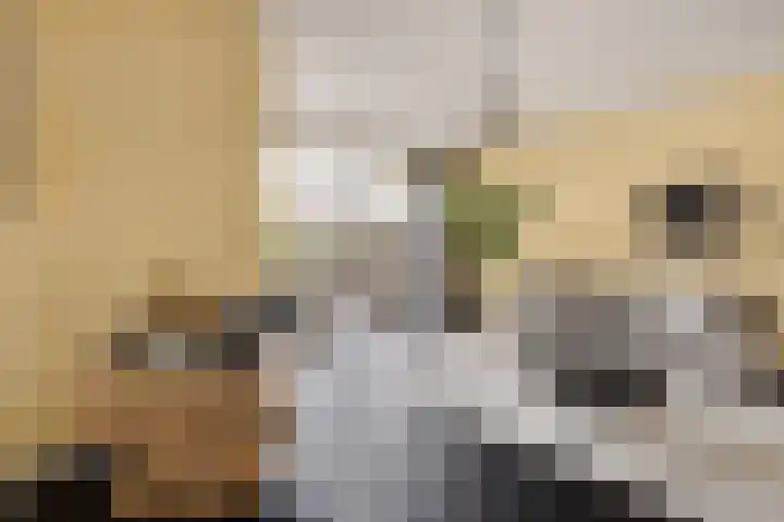 Graanhuis 29 Beinsdorp thumbnail 6