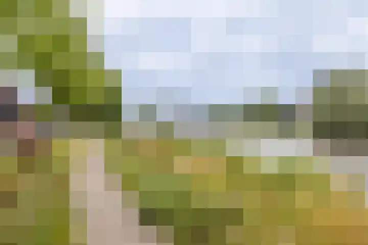 Graanhuis 5 Beinsdorp thumbnail 29