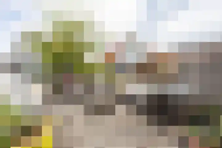 Graanhuis 5 Beinsdorp thumbnail 4