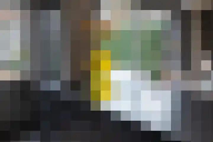 Graanoogst 3 Eemnes thumbnail 16