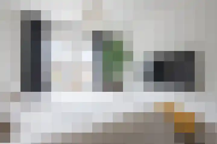 Graanoogst 3 Eemnes thumbnail 24