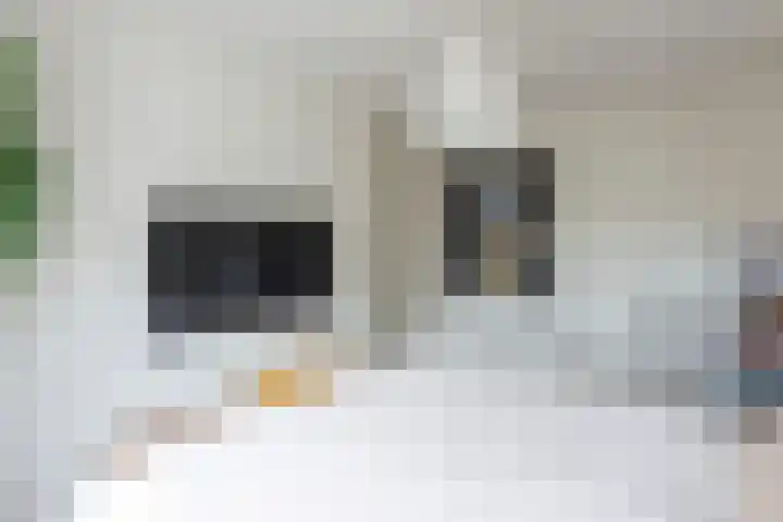 Graanoogst 3 Eemnes thumbnail 25