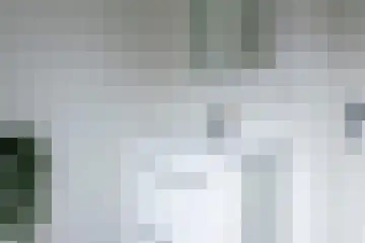 Graanoogst 3 Eemnes thumbnail 27