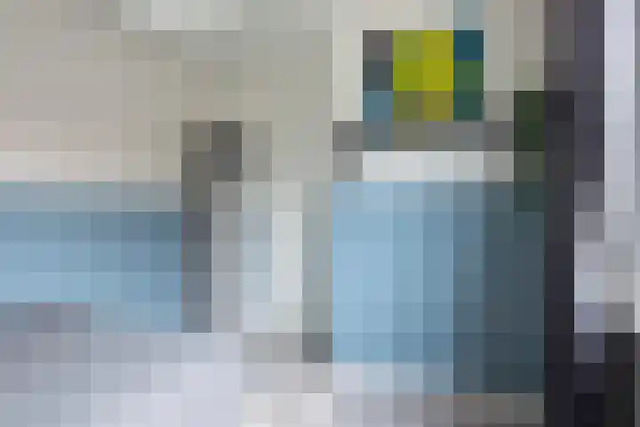 Graanoogst 3 Eemnes thumbnail 30