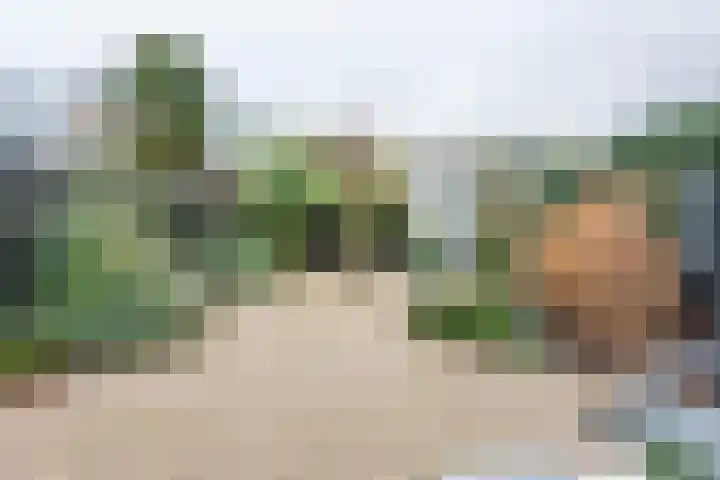 Graanoogst 3 Eemnes thumbnail 38
