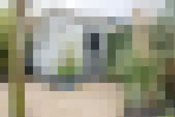 Graanoogst 3 Eemnes thumbnail 39