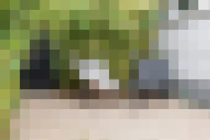 Graanoogst 3 Eemnes thumbnail 40