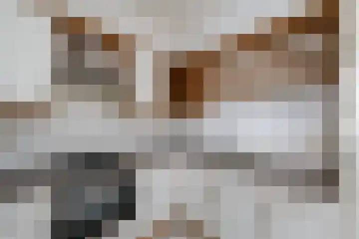 Graanstraat 15 Wolvega thumbnail 10