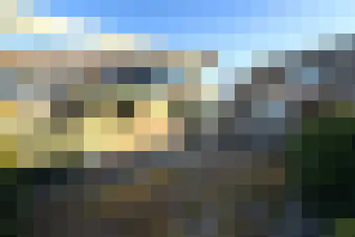 Graanstraat 15 Wolvega thumbnail 36