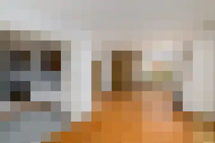 Graanstraat 15 Wolvega thumbnail 5