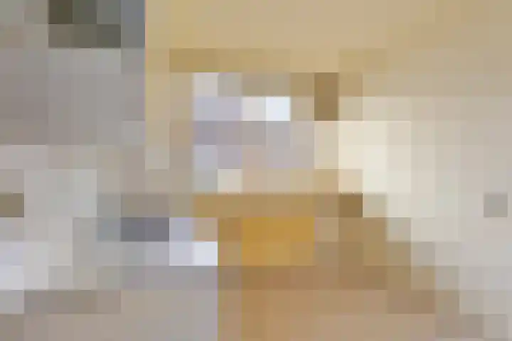 Graanstraat 27 Purmerend thumbnail 17