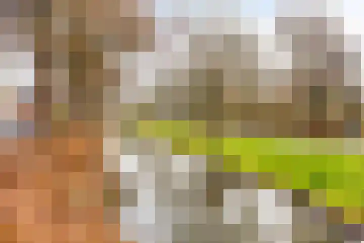 Graanstraat 27 Purmerend thumbnail 42