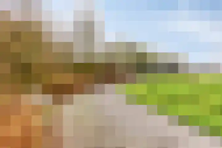 Graanstraat 27 Purmerend thumbnail 43