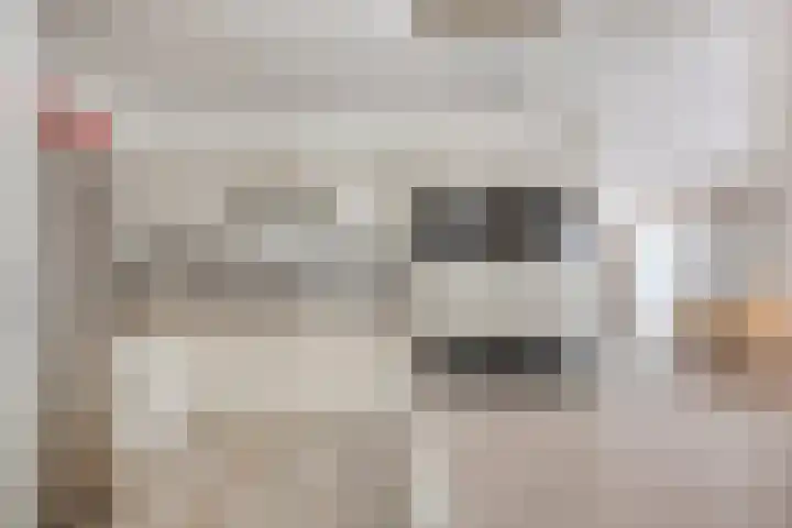 Graanstraat 54 Purmerend thumbnail 27
