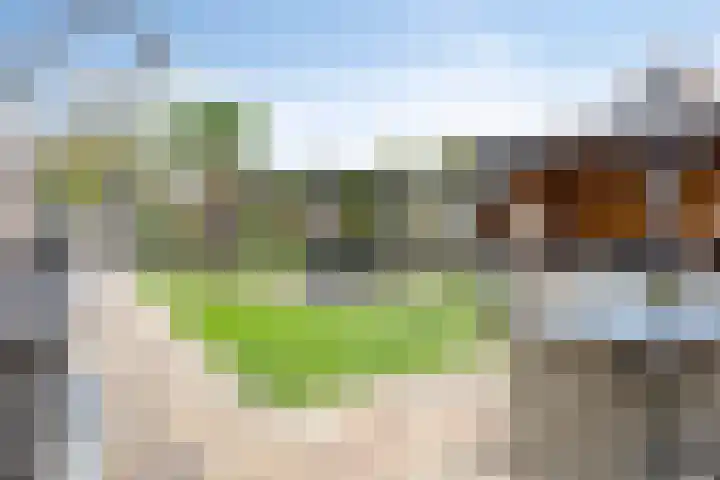 Graanstraat 54 Purmerend thumbnail 43