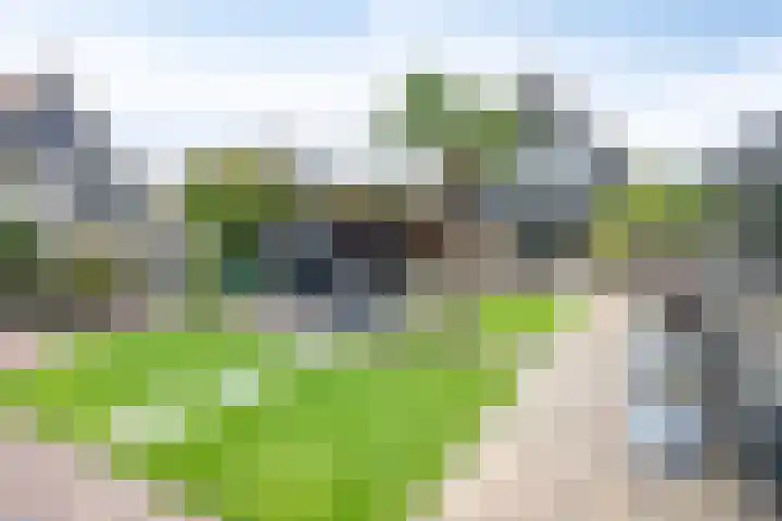 Graanstraat 54 Purmerend thumbnail 47