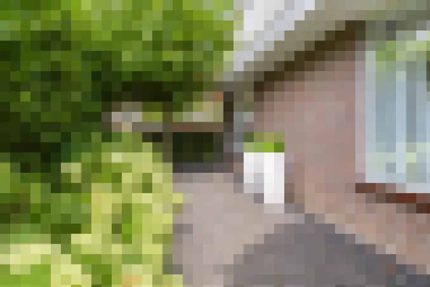 Graanstraat 72 Purmerend thumbnail 34