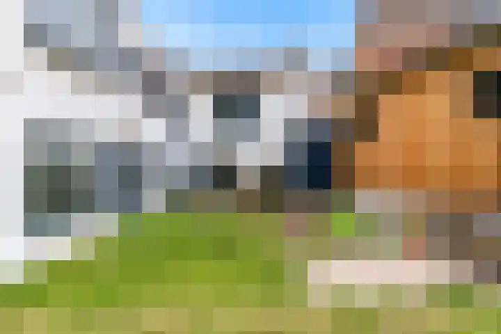 Grachtstraat 17 Simpelveld thumbnail 28