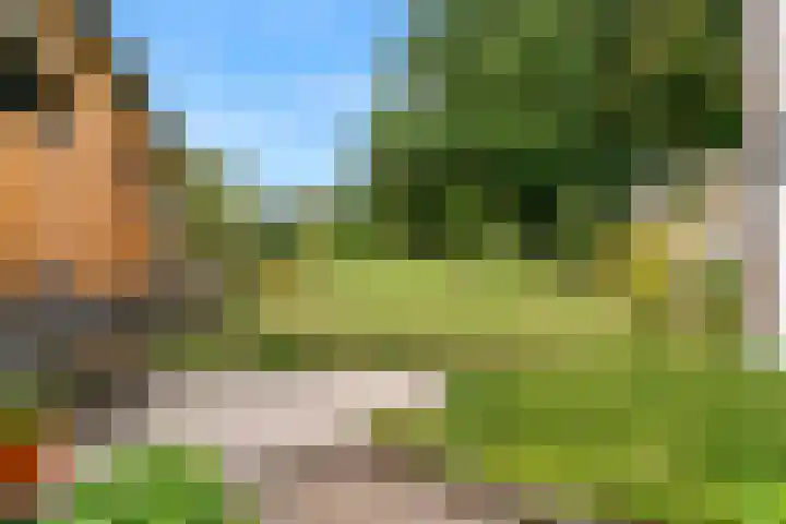 Grachtstraat 17 Simpelveld thumbnail 29