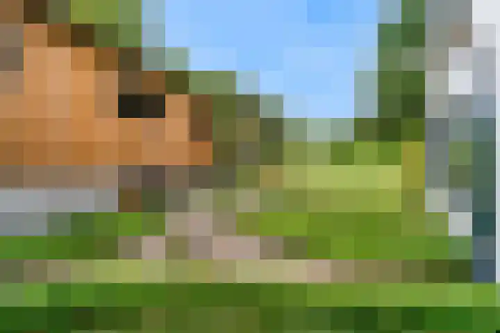 Grachtstraat 17 Simpelveld thumbnail 30