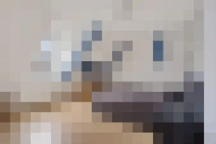 Grachtstraat 9 Middelstum thumbnail 32