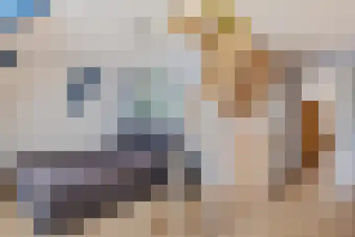 Grachtstraat 9 Middelstum thumbnail 34
