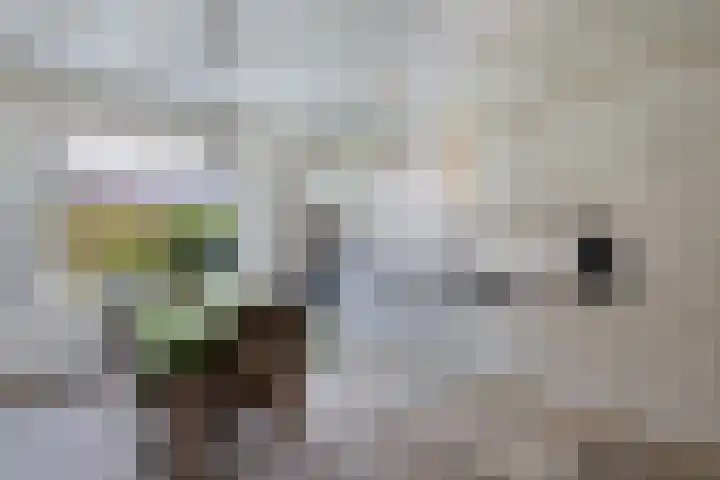 Grachtwal 29 Marknesse thumbnail 14