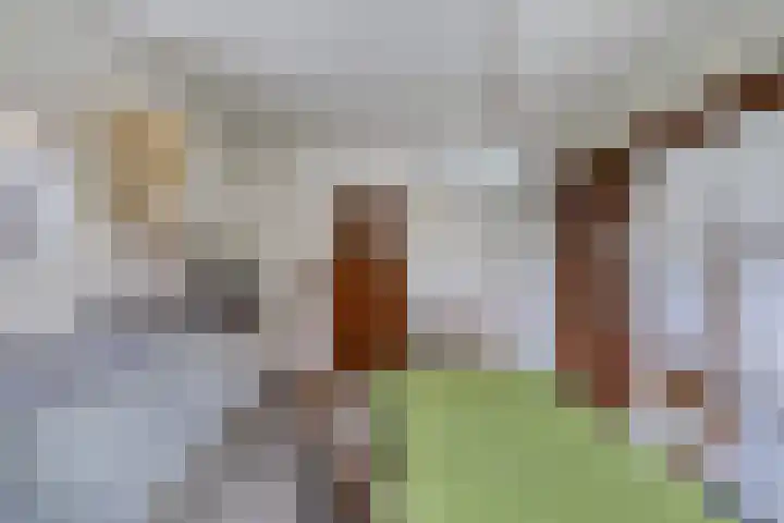 Grachtwal 29 Marknesse thumbnail 15