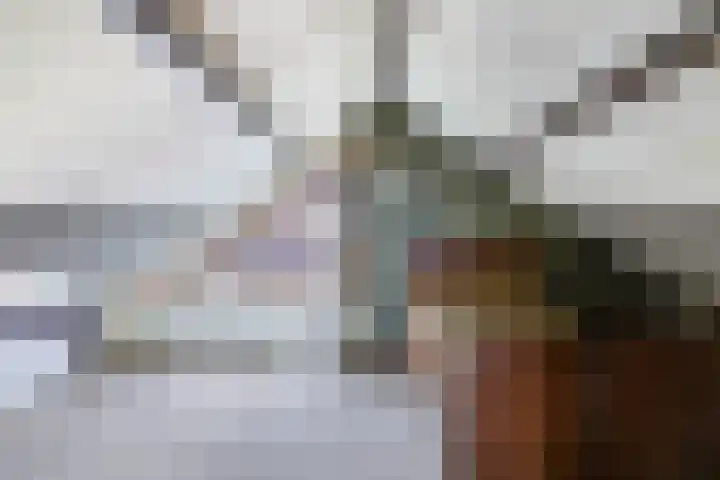 Grachtwal 29 Marknesse thumbnail 31