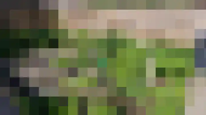 Grachtwal 29 Marknesse thumbnail 39