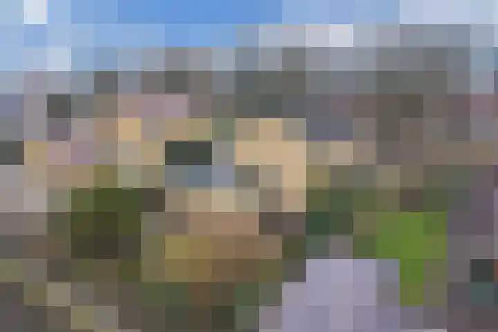 Grachtwal 29 Marknesse thumbnail 45
