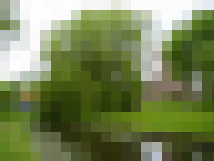 Grachtwal 29 Marknesse thumbnail 53