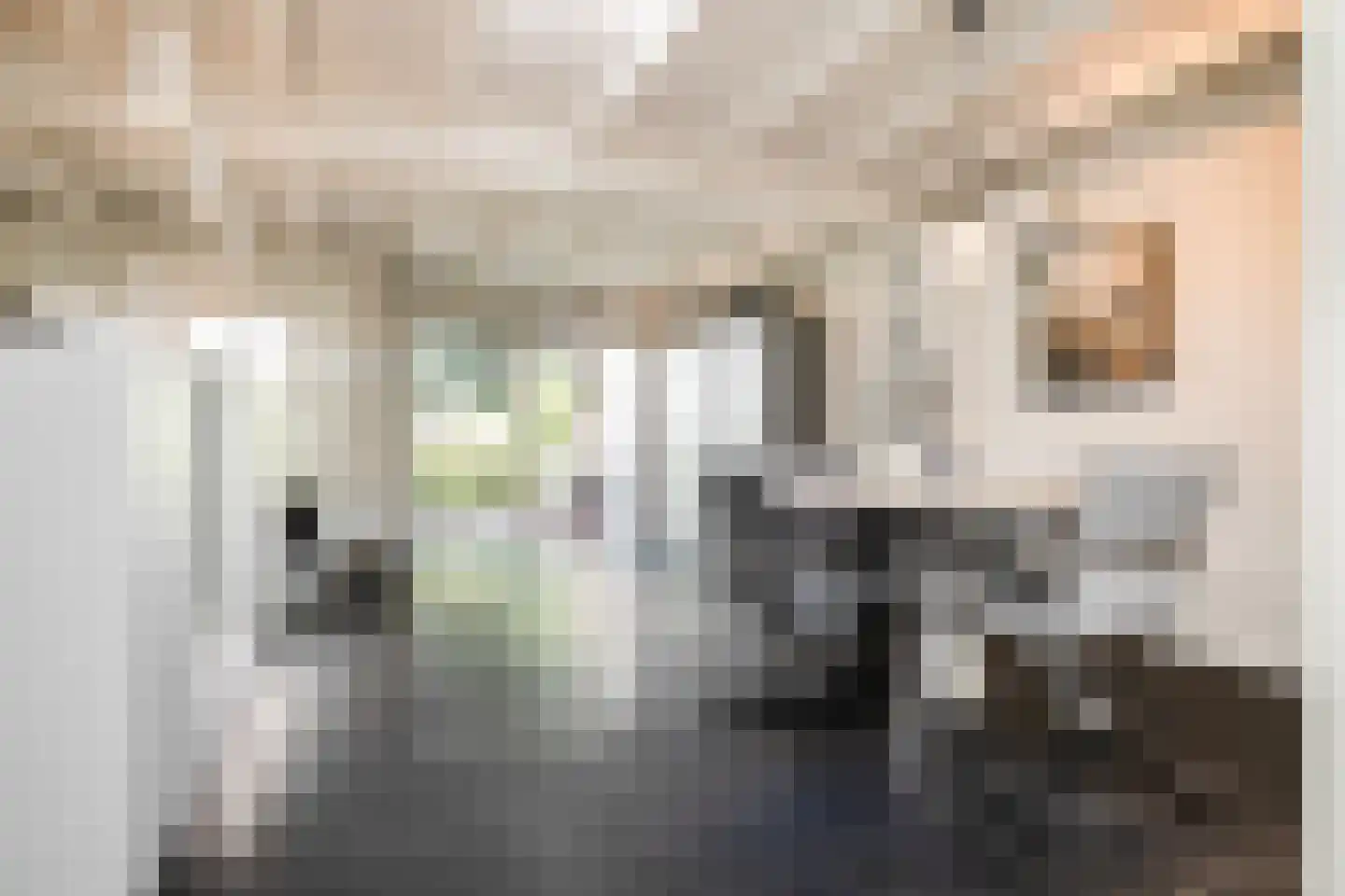 Grachtweg 2 Lisse thumbnail 103