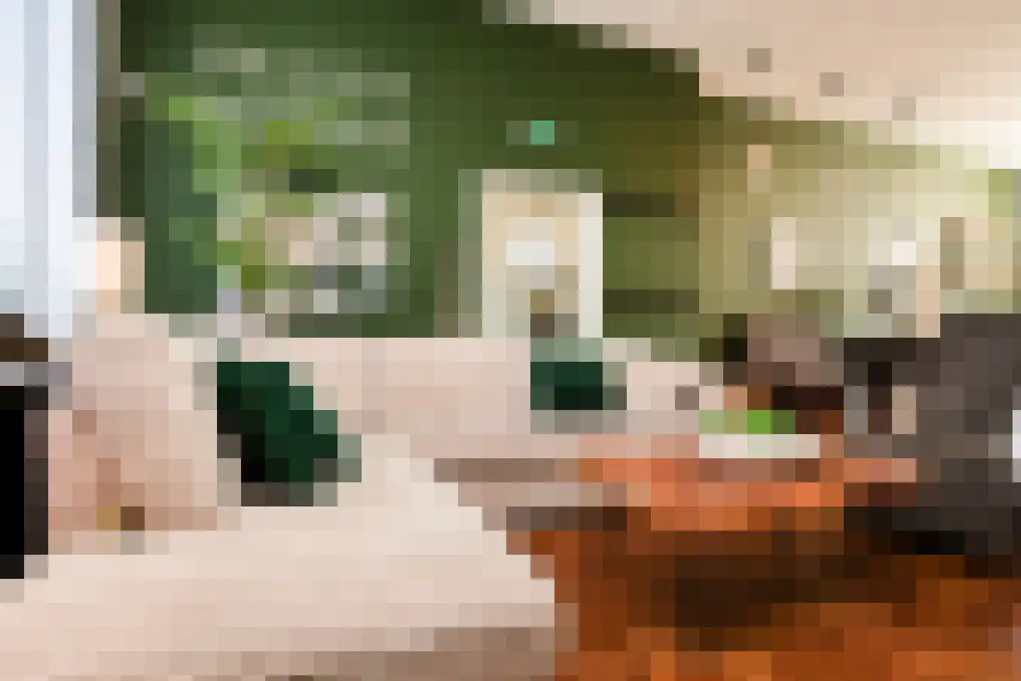 Grachtweg 2 Lisse thumbnail 17