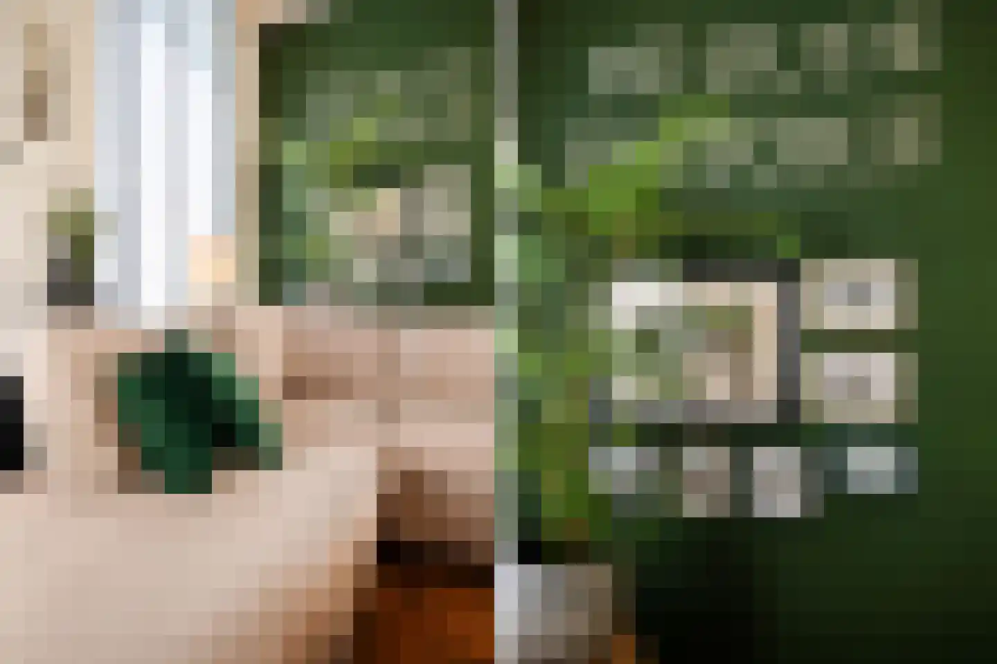 Grachtweg 2 Lisse thumbnail 18