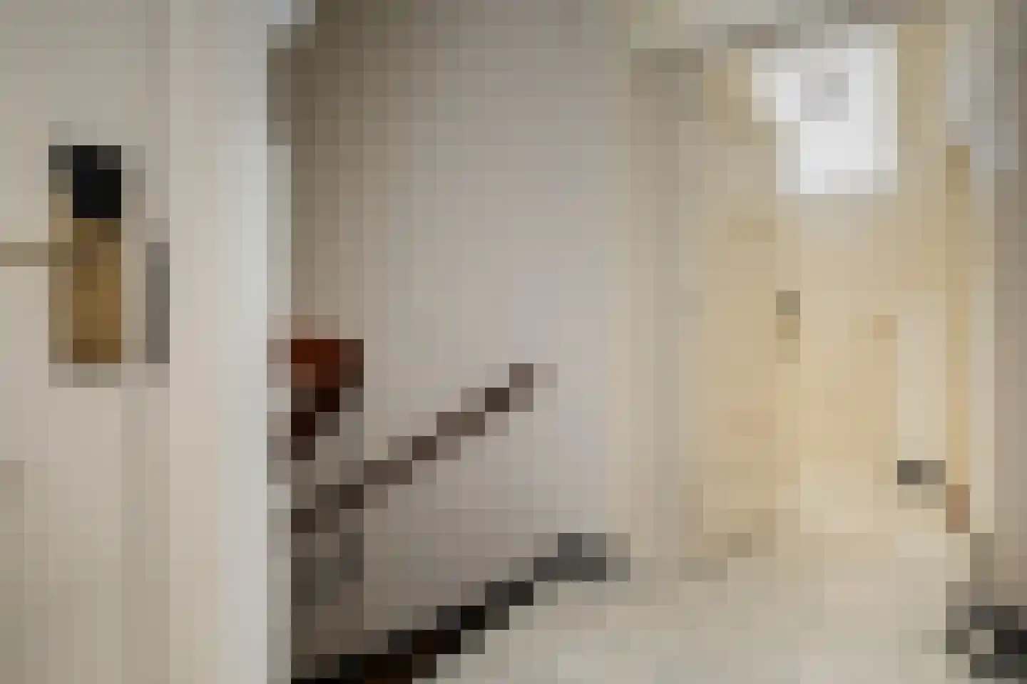 Grachtweg 2 Lisse thumbnail 37