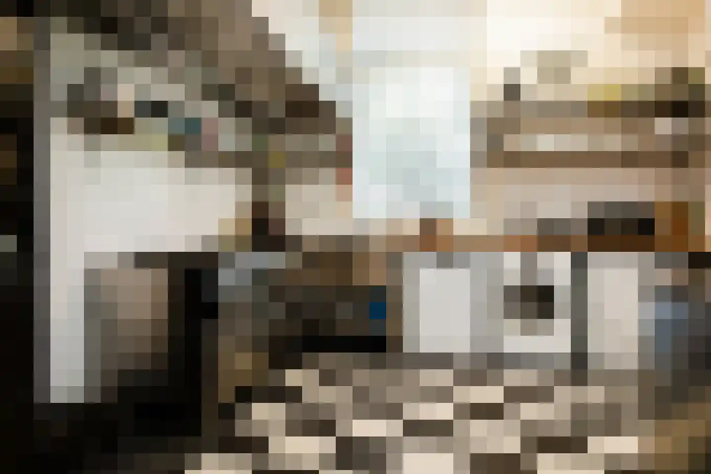 Grachtweg 2 Lisse thumbnail 4