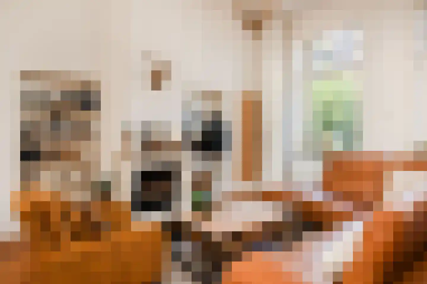 Grachtweg 2 Lisse thumbnail 45