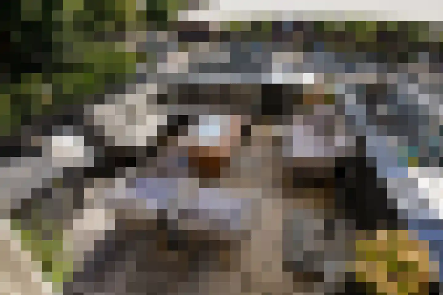 Grachtweg 2 Lisse thumbnail 63